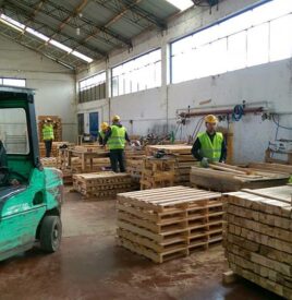 Ardit Group, Kompania Lider ne Ballkan e Çertifikuar dhe Specializuar ne: Prodhim Paleta Druri Normale, Paleta Druri te Trajtuara Termikisht, Redi Pellet